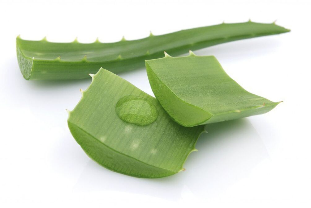 aloe for the treatment of thoracic osteochondrosis